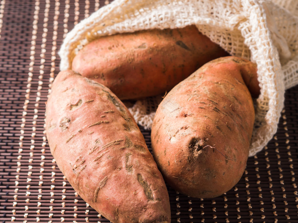 Pionieren met de Zoete Pieper