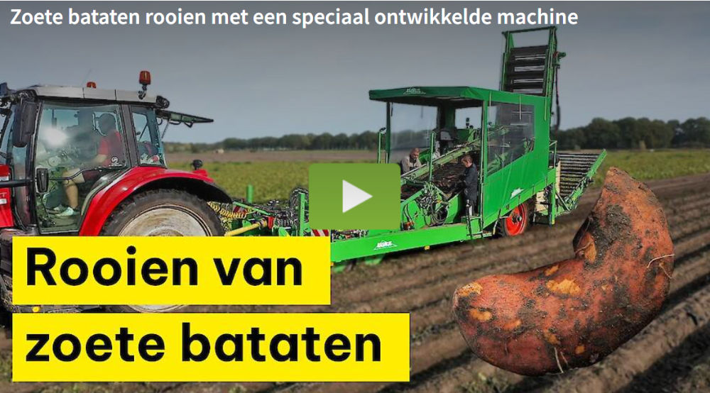 Video: Bataatteler laat rooier naar wens bouwen